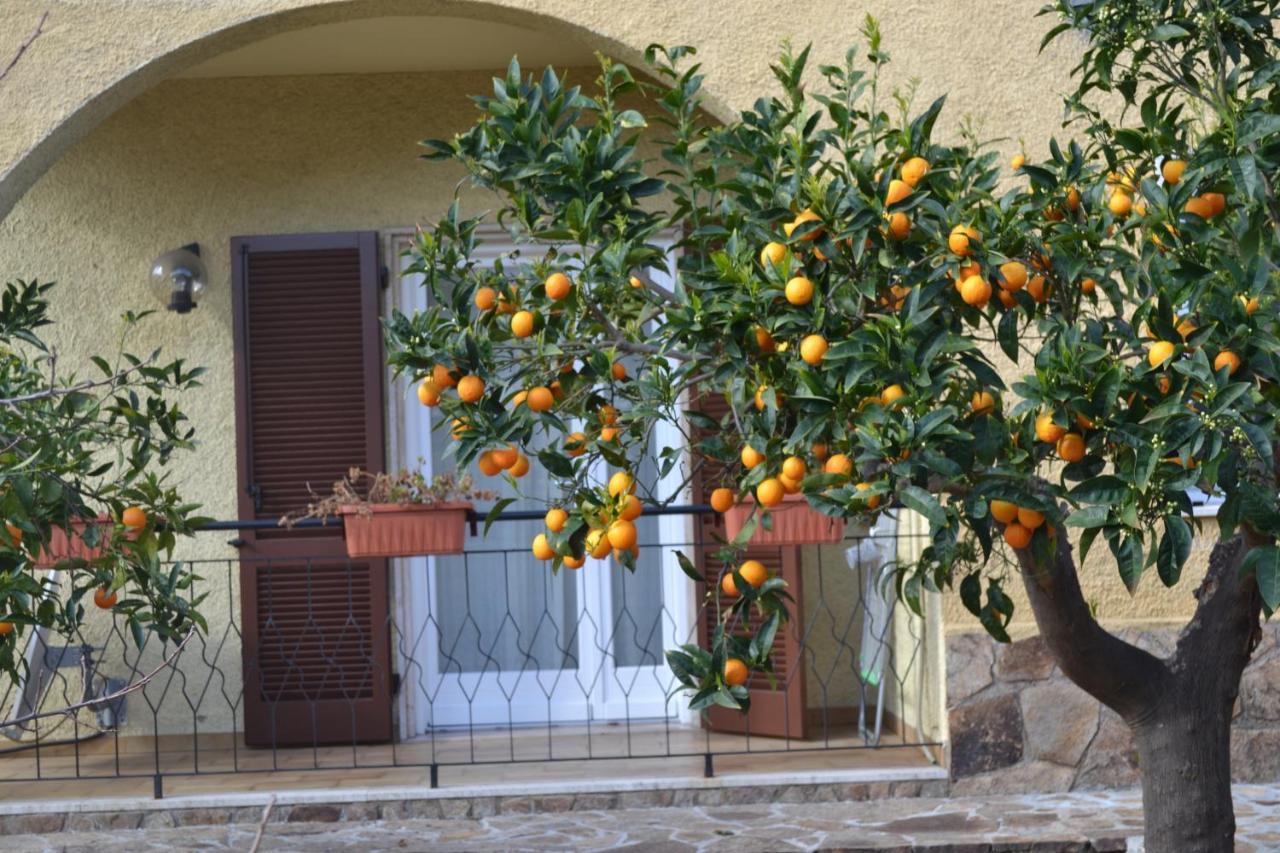 Bed and Breakfast Etesia Olbia Exterior foto